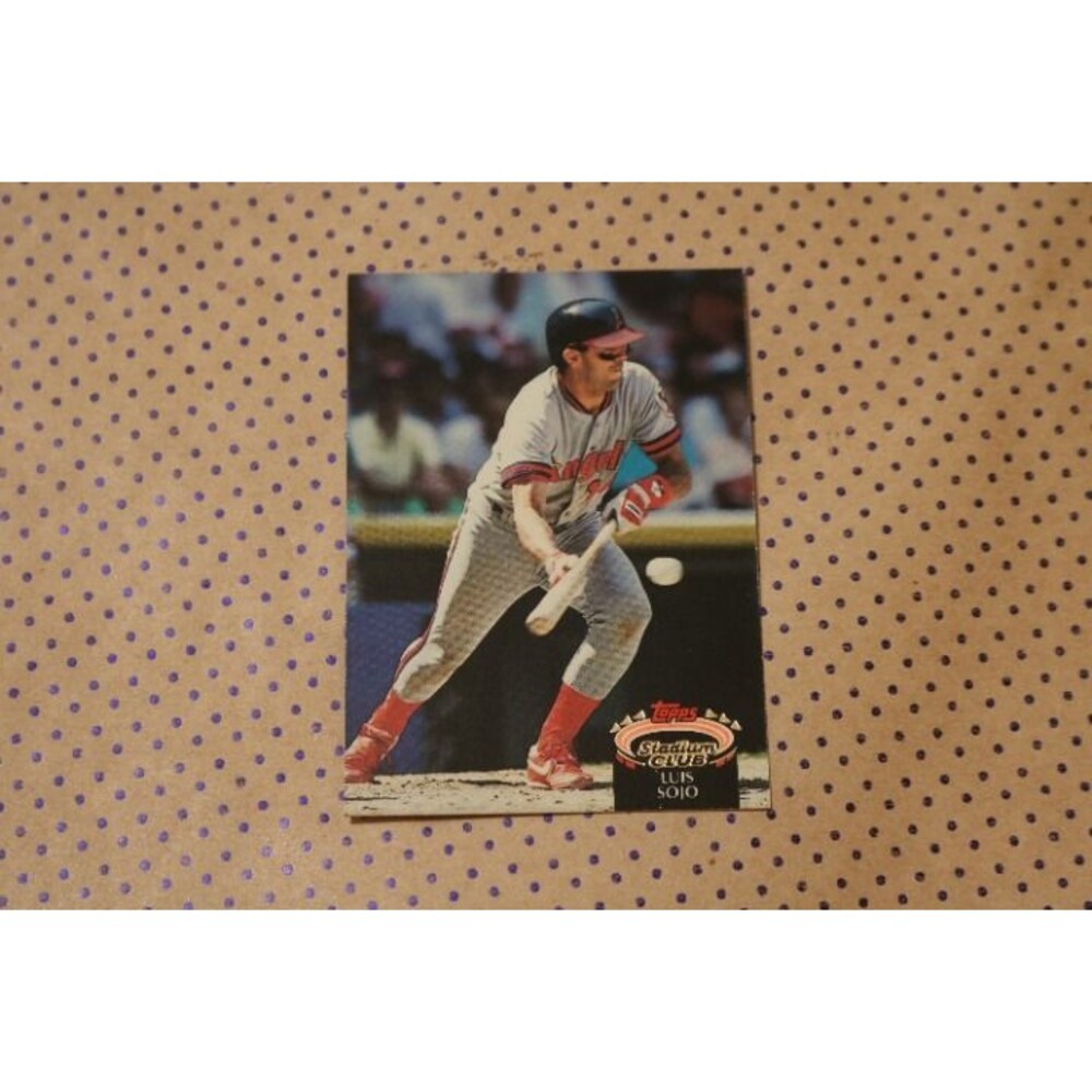 Luis Sojo #373 Baseball Card (1992)